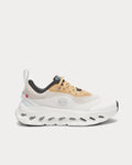 On x Lw Cloudtilt 2.0 (Women's)